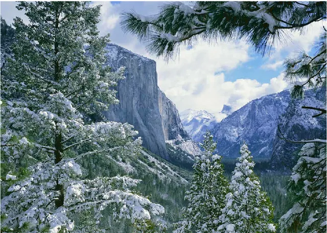 The Sunset House Vacation Rentals