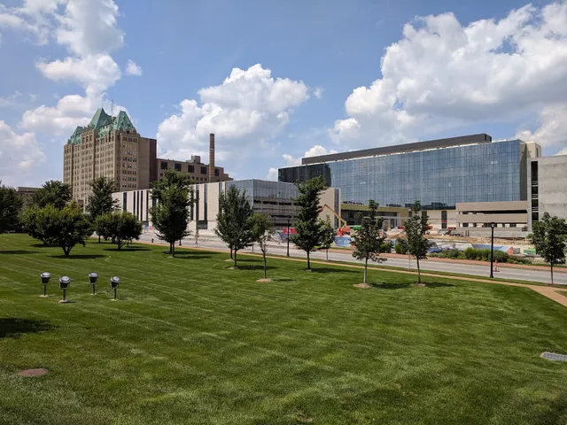 Saint Louis University School of Medicine