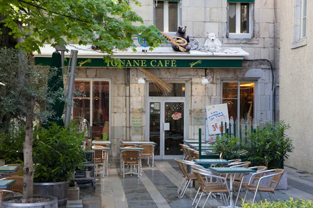 Iguane Café