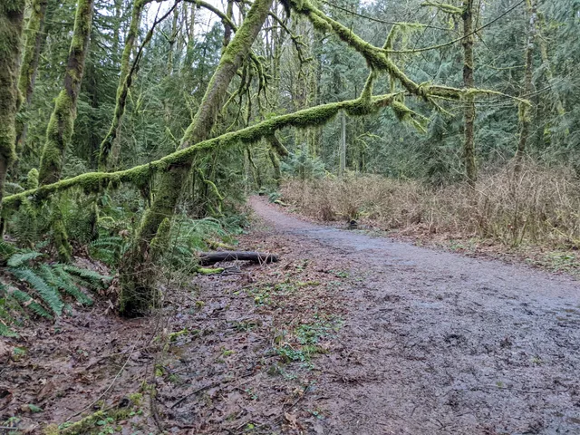 Leif Erikson Germantown Trail Head