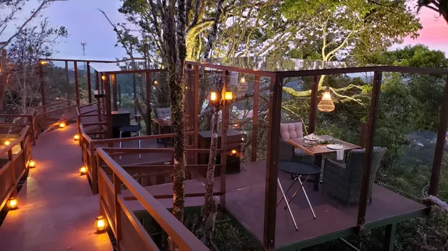 San Lucas Treetop Dining Experience