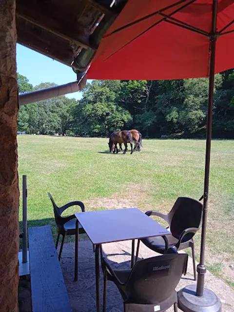 Bar la casa del monte