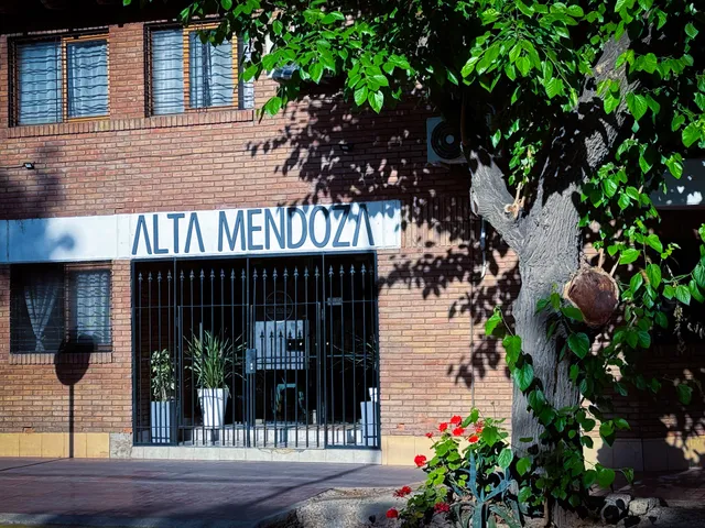 Alta Mendoza