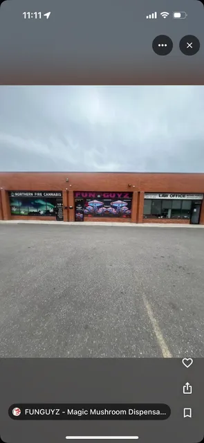 FUNGUYZ - Magic Mushroom Dispensary - NORTH YORK