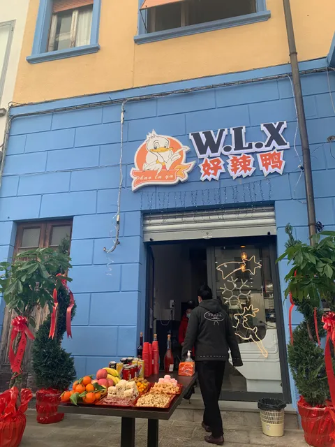 好辣鸭 W.L.X.
