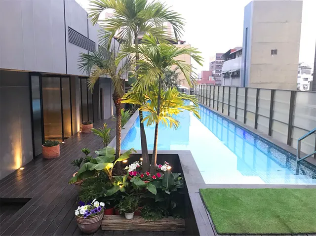 The tree house 樹屋旅店