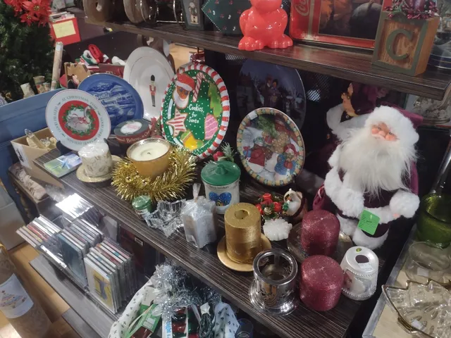 Blue Butterfly Thrift Store