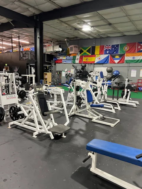 Grizzly Fitness Berlin