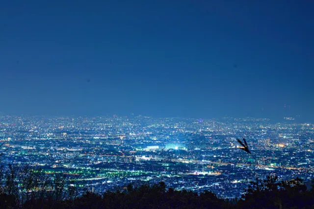 府民の森 みずのみ園地 展望スポット