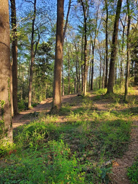 Perkerson Park Disc Golf Course