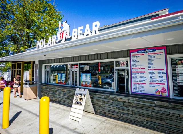 Polar Bear Ice Cream