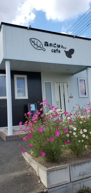 森のごはん。cafe