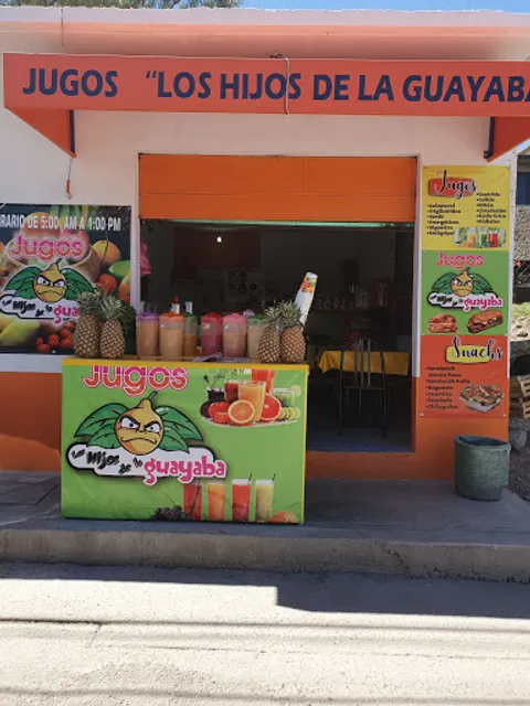 Los hijos de la guayaba jugos y desayunos