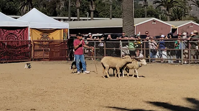 Seaside Highland Games