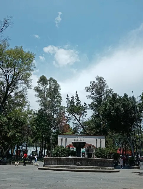 Plaza san Jacinto