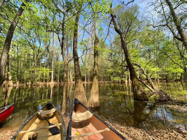 South Cedar Creek Canoe Landing