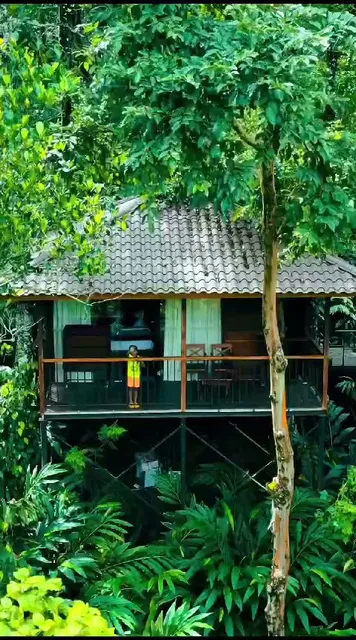 Southern Panorama Indriya Resorts & Spa