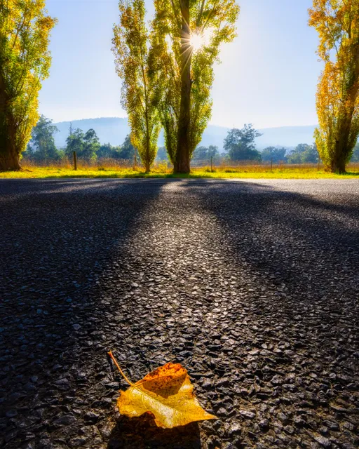 Gould Memorial Drive
