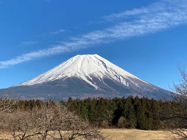 Mt. Fuji viewpoint
