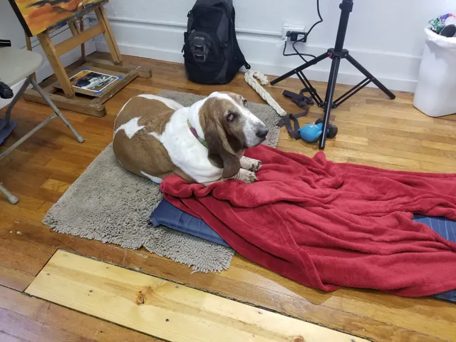 Cedar Street Art Collective