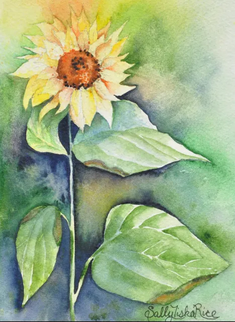 Sally Tiska Rice, Pittsfield Art Studio, Berkshire Rolling Hills Art