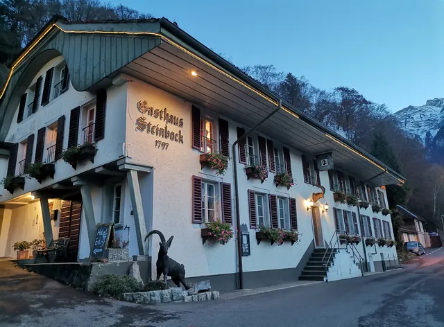 Historisches Hotel Steinbock