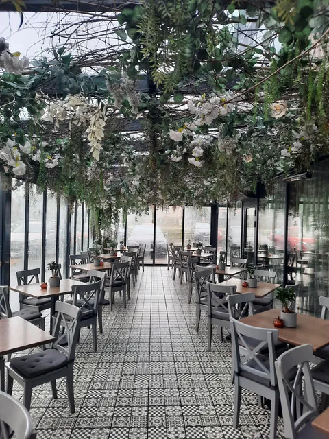 Sotus Vilkas Klaipėda