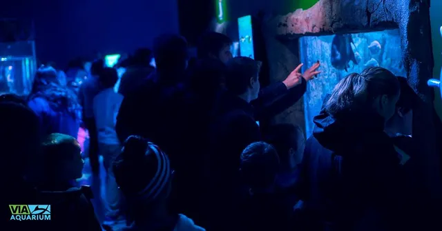 VIA Aquarium
