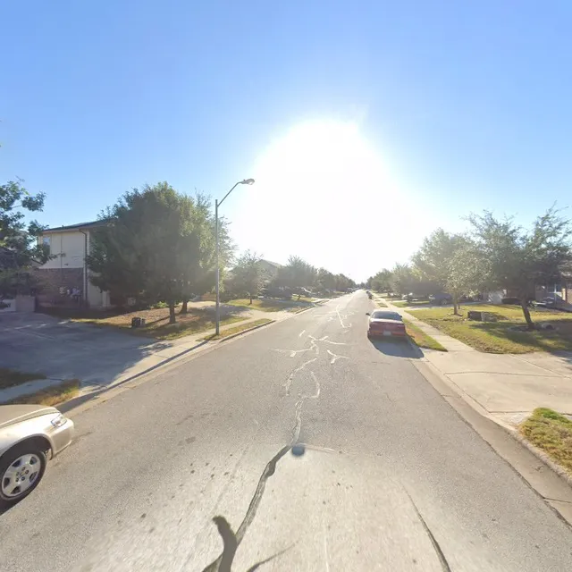 Hanle's Clay Flowers