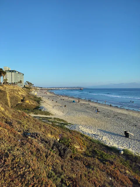 Palisades South Park