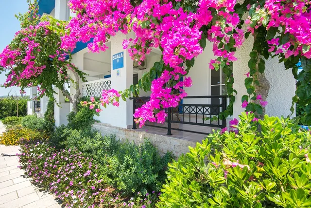 Scala Aparts & Studios Rhodes