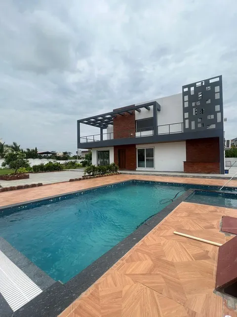 Purple Orchid -The farm