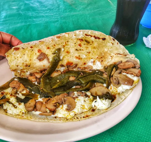 Huaracheria lupita centro