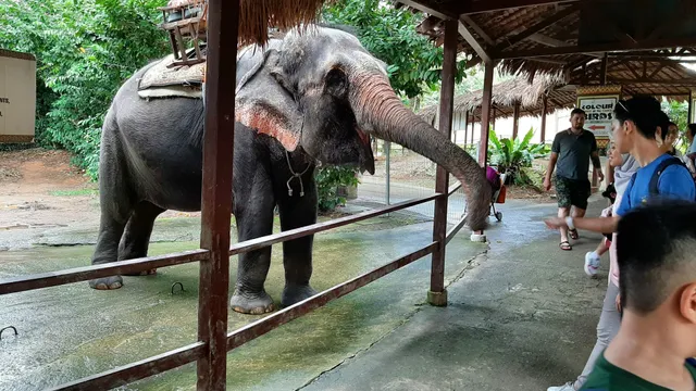 AFamosa Animal World Safari ( Sempang Ampat, Melaka )