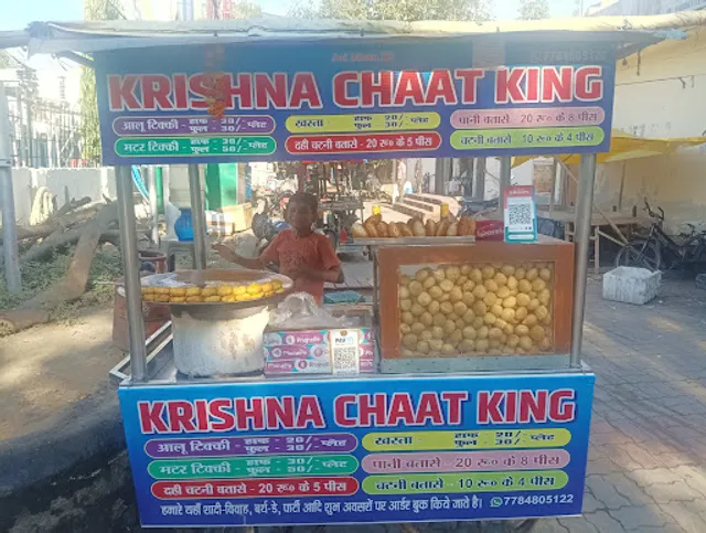 Krishna Chaat King