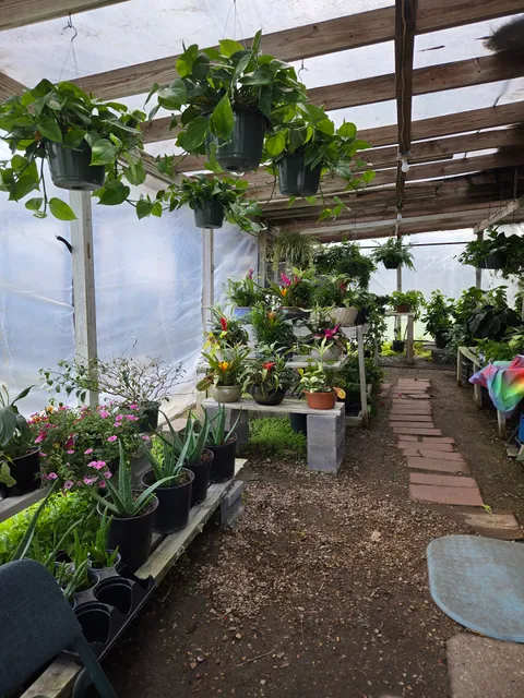 Vannee's Bloomin' Yard