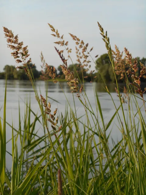 Ferienwohnung Villa Lütt