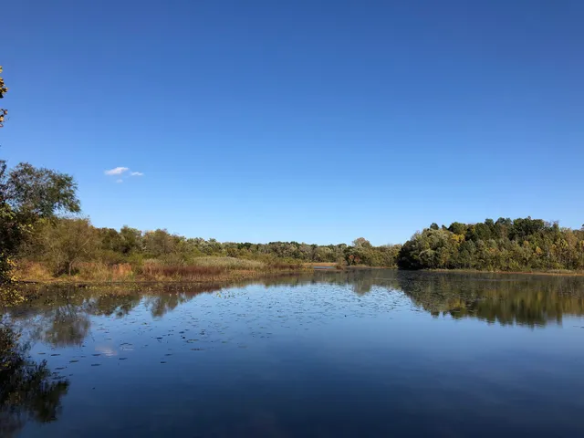 Walker Avenue Wetlands