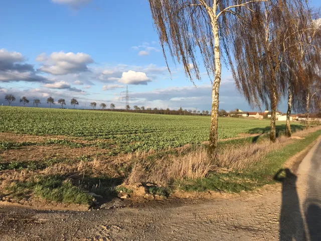 Ferienbauernhof Wendelinshof