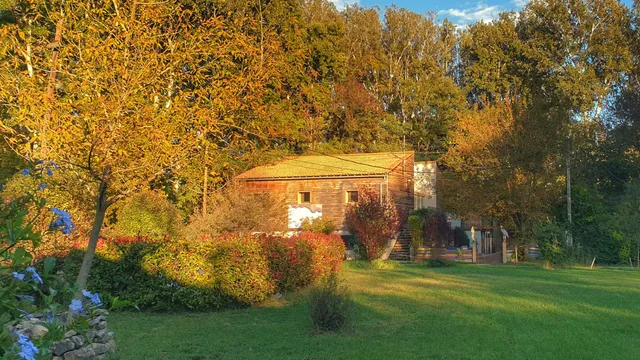 Association Parc Des Libertés