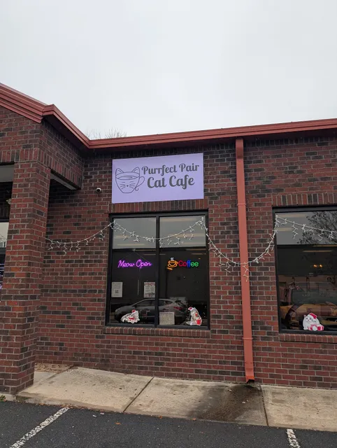 Purrfect Pair Cat Cafe