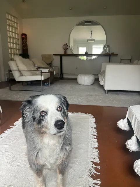 DAINTY PERMANENT JEWELRY (DENVER STUDIO - BY APPT ONLY)