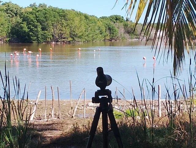 Secret Flamingo Spot