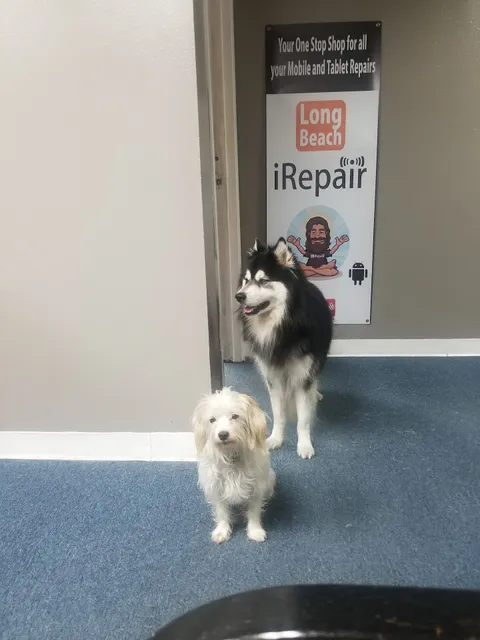 Long Beach iRepair