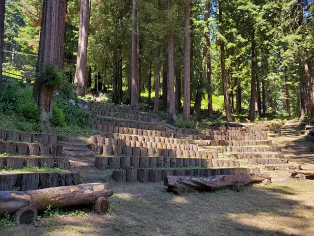 Fasting Prayer Mountain of the World