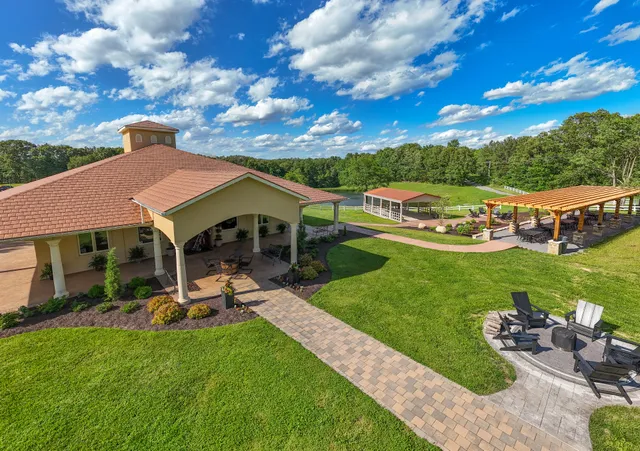 Clad & Cordon Vineyard