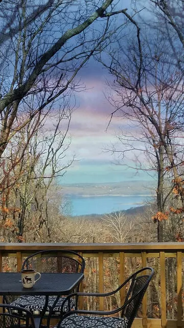 Forest View Cabins LLC