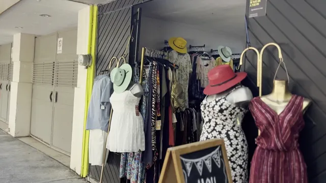 Diane's local shop/gorditos y bonitos shop