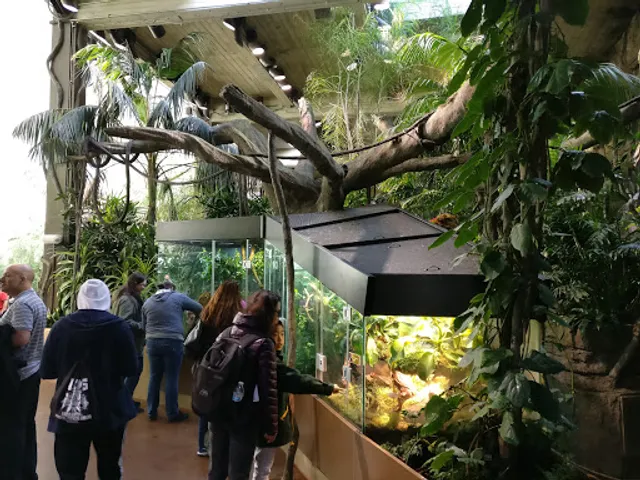 South American Tropical Forest