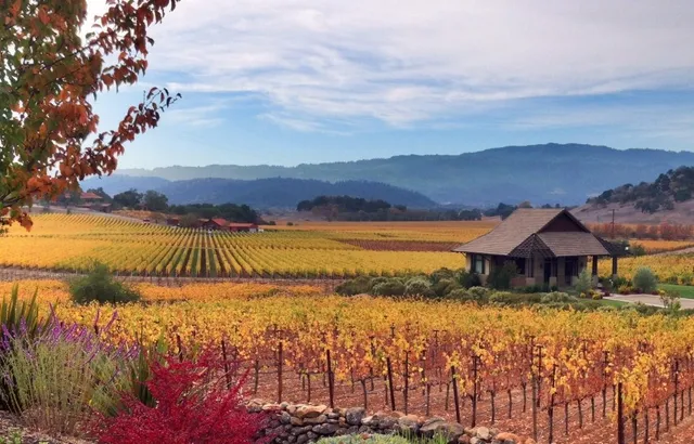 Savor Napa Valley Wine Tours